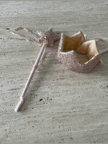 Sequins crown and magic wand